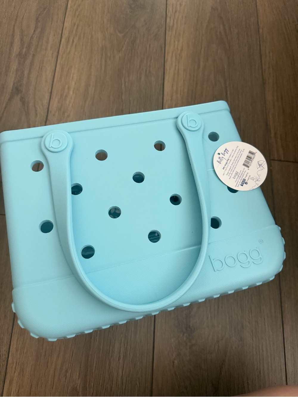 Bitty Bogg Bag Classic Tote in Light Blue